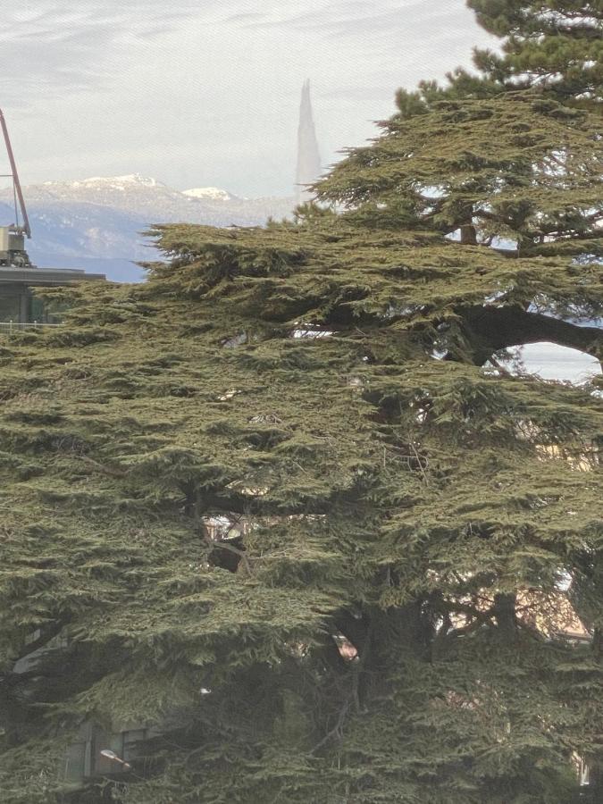 Geneve, Plein Centre,Belle Vue Lac, Splendide Et Grand Appartement Genebra Exterior foto